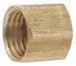 Cap Brass 3/4 in Pipe Size Female NPT