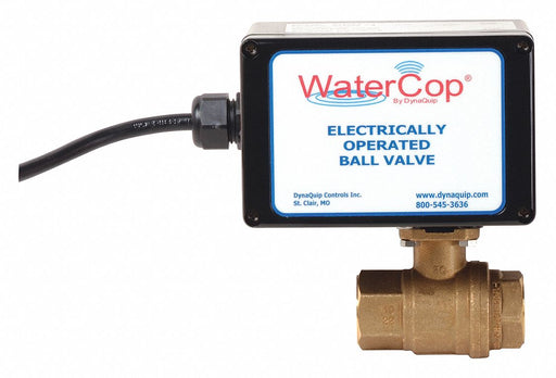 Ball Valve Electronic 3/4 In FNPT