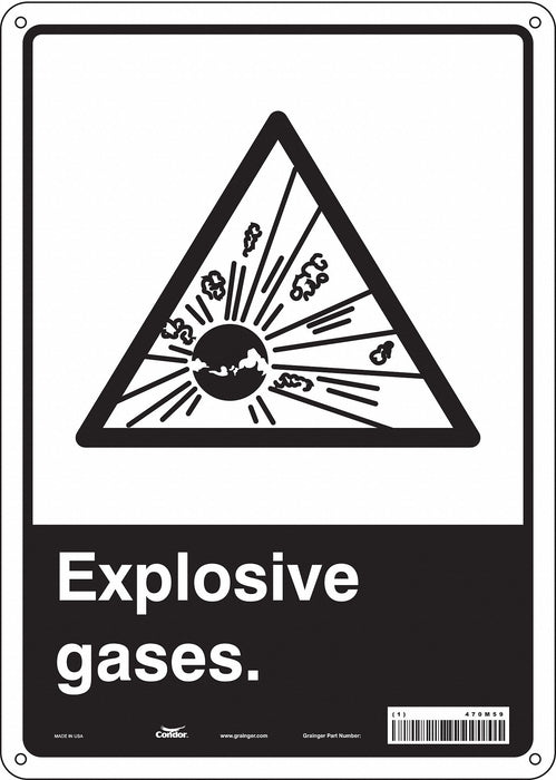 Safety Sign 14 in x 10 in Polyethylene