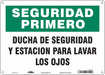 Safety Sign 10 in x 14 in Polyethylene