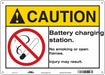 Safety Sign 10 inx14 in Aluminum