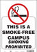 Safety Sign 14 in x 10 in Vinyl