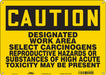 Safety Sign 10 in x 14 in Polyethylene