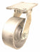 Plate Caster Swivel Iron 12 1/2 H