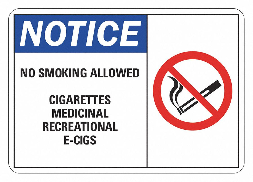 No Smoking Sign 10 inx7 in Plastic