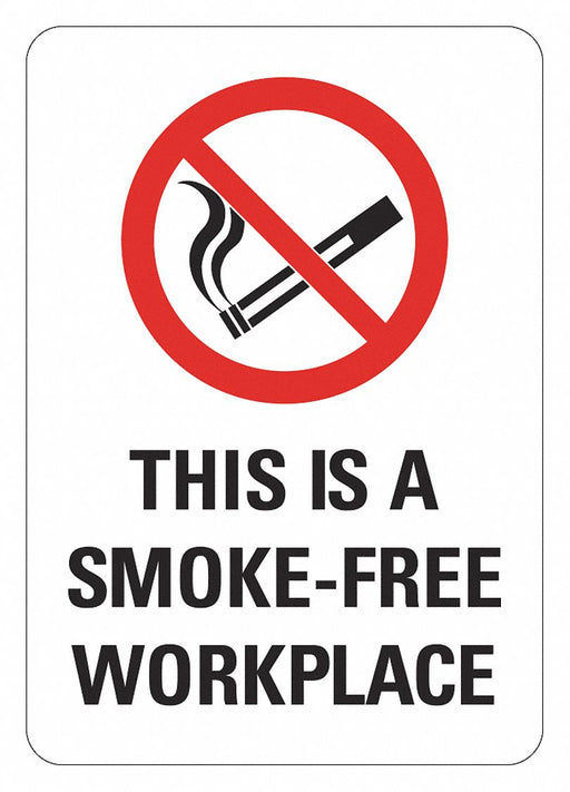 No Smoking Sign 10 in x 7 in Plastic