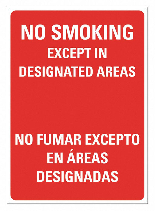 No Smoking Sign 14 inx10 in Plastic