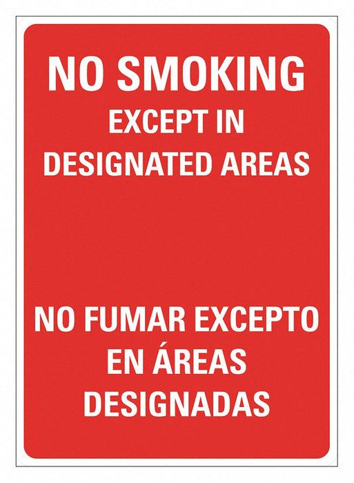 No Smoking Sign 14 inx10 in Plastic