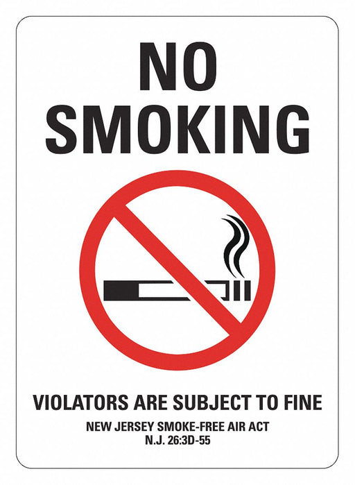 No Smoking Sign 14 inx10 in Plastic