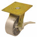 Plate Caster Swivel Iron 6 1/2 H