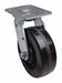 Plate Caster Swivel Phenolic 7 1/2 H