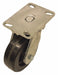 Plate Caster Swivel Phenolic 8 H