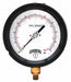 N0162 Gauge 4-1/2 Dial Size MNPT Connection