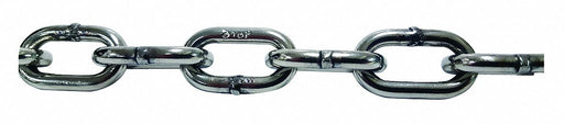 Straight Chain 316 SS 5 L 3 550 lb