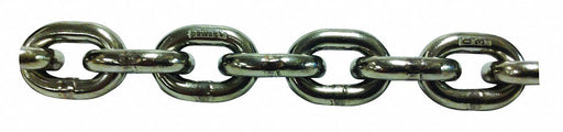 M5086 Straight Chain 316 SS 100 L 13 900 lb