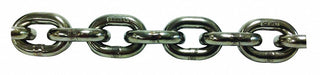 M5083 Straight Chain 316 SS 5 L 2 700 lb