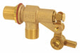 Float Valve 3/8 in Bulkhead Brass MNPT