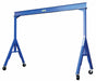 Fixed Gantry Crane Steel Blue 6000 lb.