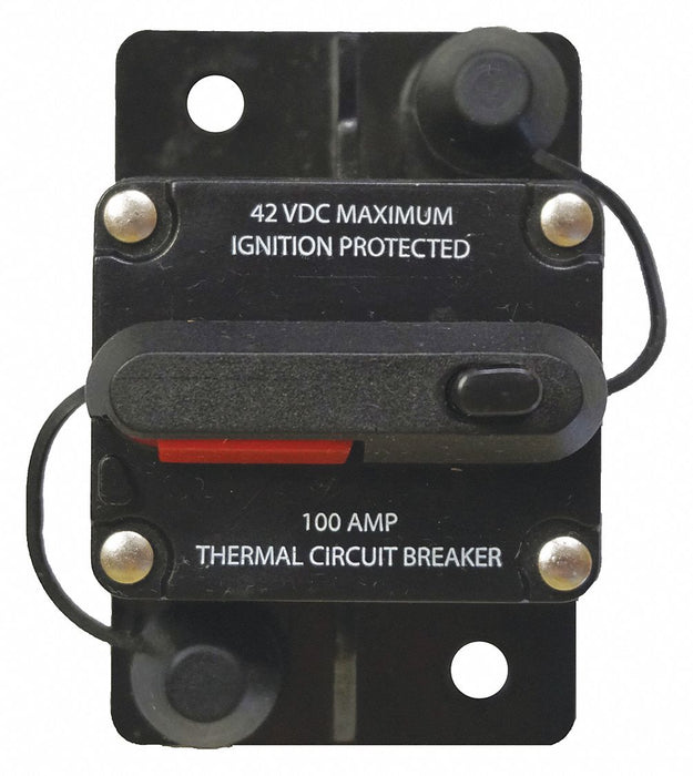 Automotive Circuit Breaker 100A at 12VDC