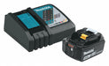 Battery and Charger (1) 5.0 Ah Li-Ion