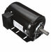 ODP Resilient Base Motor 2 hp
