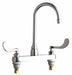 Gooseneck Chrome Chicago Faucets 1100