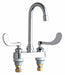 Gooseneck Chrome Chicago Faucets 895
