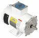 DC Washdown Motor 1/3 HP 1750 56C 90V