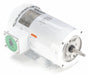 Motor 3 HP 3490 56J 208-230/460V