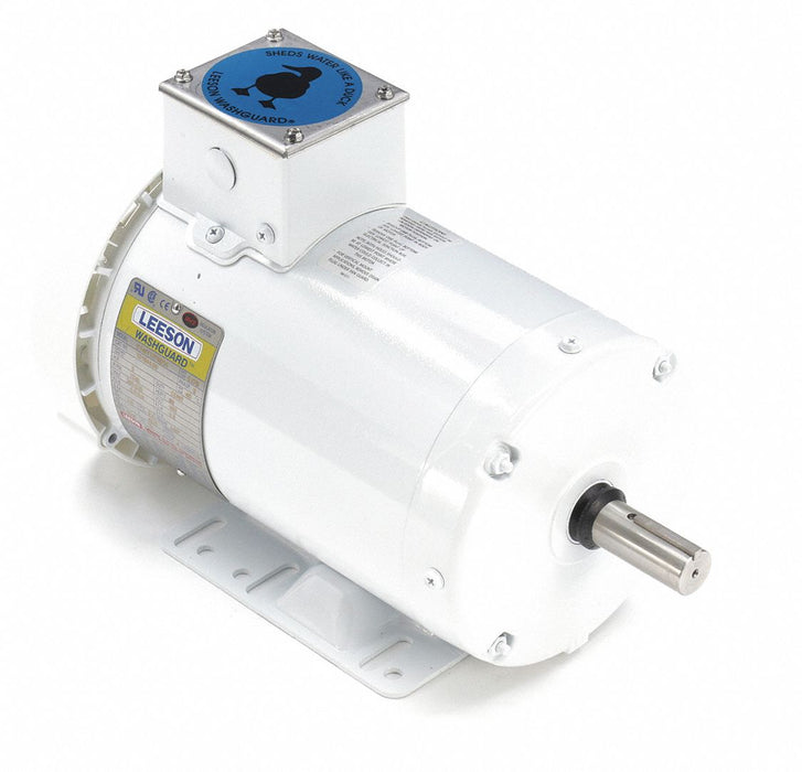 Feather Picker Motor 145T 3 hp