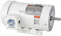 Washdown Motor 2 HP 1750 56HC 230/460V