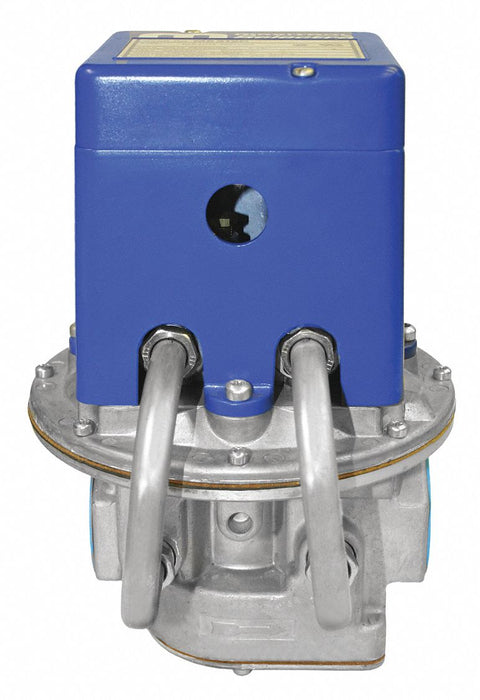 Gas Pressure Regulator NPT 3000000 BtuH