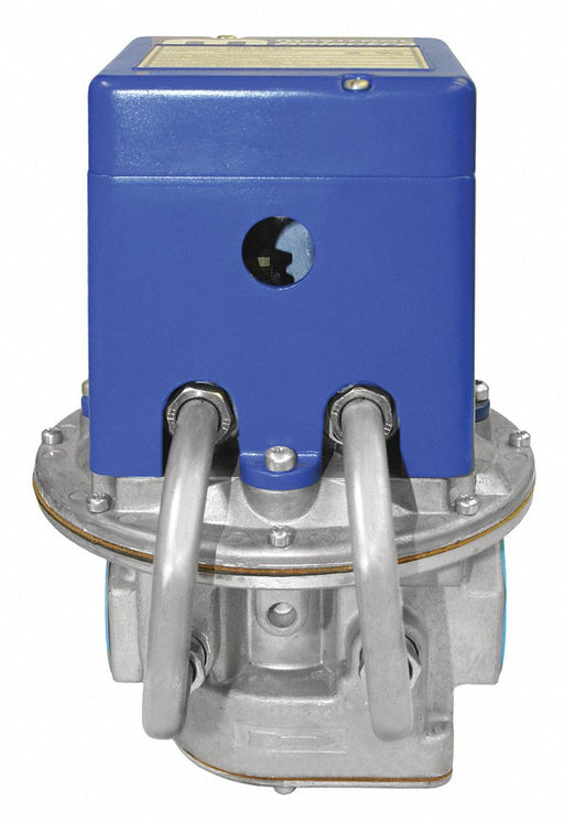 Gas Pressure Regulator NPT 3000000 BtuH
