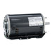 Belt Drive Motor 56H 2 hp