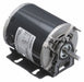 Belt Drive Motor 48YZ 1/4 hp