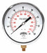K4528 Pressure Gauge 6 Dial Size Black