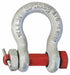 Anchor Shackle 4 000 lb Alloy Steel