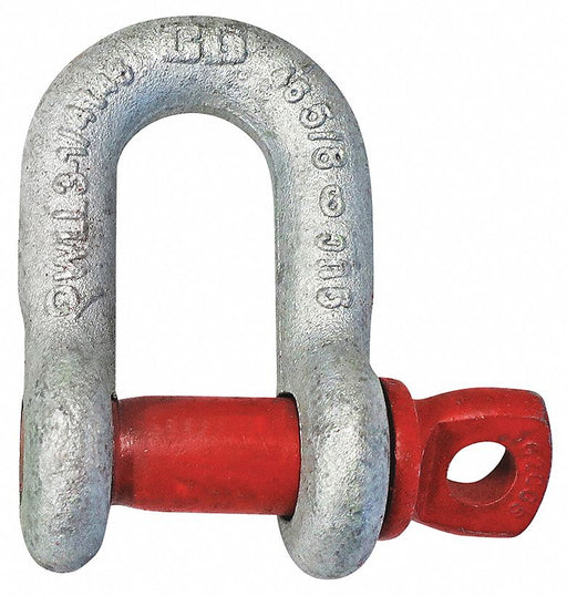 D-Shackle 6 500 lb Load Cap Carbon Steel