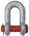 D-Shackle 24 000 lb Carbon Steel