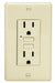 GFCI Receptacle General Purpose 2-Poles