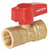 Manual 2-Way Ball Valve IPS Brass