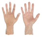 J4964 DisposableGloves Clear M Size8 PK100