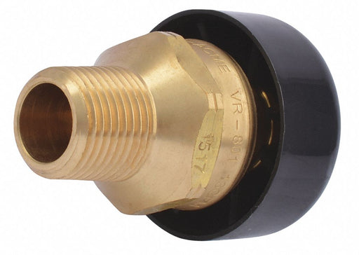 Vacuum Relief Valve Brass NPT Vented