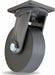 Plate Caster Swivel Nylon 15 1/2 H