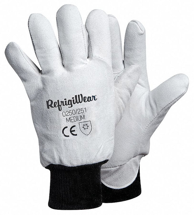 Leather Gloves Gray S PR