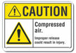 Caution Sign 10 in x 14 in Plastic
