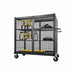 Security Cart Steel 58 H 51-1/2 L