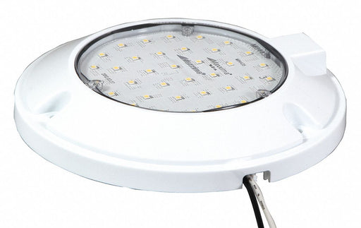 Dome Light Round Clear