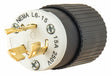 Locking Plug Black/Wht 250VAC 0.5 HP 15A
