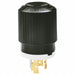 Locking Plug Black/Wht 480VAC 5.0 HP 20A